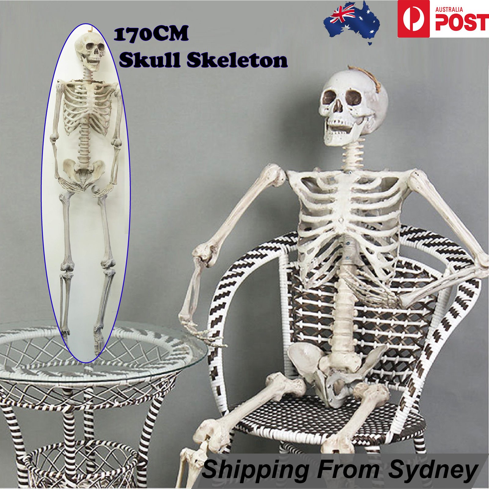 d2d86ae56b84b438c26c57a397d2460b_skull07.jpg